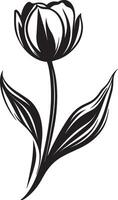 a black and white drawing of a tulip vector