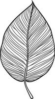 a black and white ,drawing of a leaf vector