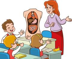 Biology Teacher Engages Curious Kids in Class, Developing Love for Science as They Explore Human Organs Through Interactive Lessons and Hands-on Experiments. Illustration vector