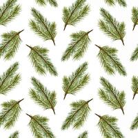 Christmas pine branches on seamless watercolor pattern isolated on white. Spruce botanical repeat background. Greenery pattern for wrapping paper, fabric, wallpapers, and seasonal package. vector