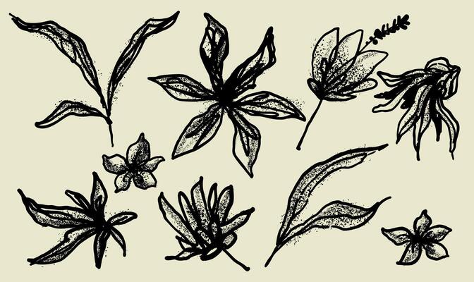 Botanical Floral Branch In Silhouette Style. Hand Painted With Acrylic, Dry Brush Wedding Herb, Minimalistic Flowers With Elegant Leaves. Template Botanical Rustic Greenery . Flowers And Leaves.