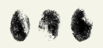 Human fingerprint texture set. Black and white grunge fingerprint white texture background. Collection of template fingerprint. illustration. vector