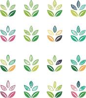 different color of leaf Artwork vector