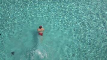 Top view of man diving into the pool on a sunny summer day video