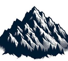 Mountain with pine trees and snow on a white background vector