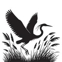 Heron Taking Flight A Silhouette Illustration with Grassy Background vector