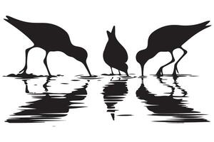 Sandpiper Birds Silhouette Art for Coastal Designs Themes vector