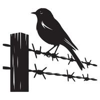 Silhouette Bird Resting on Barbed Wire Illustration Image vector