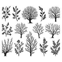 Bare Trees and Branches Winter Silhouette Art Collection vector