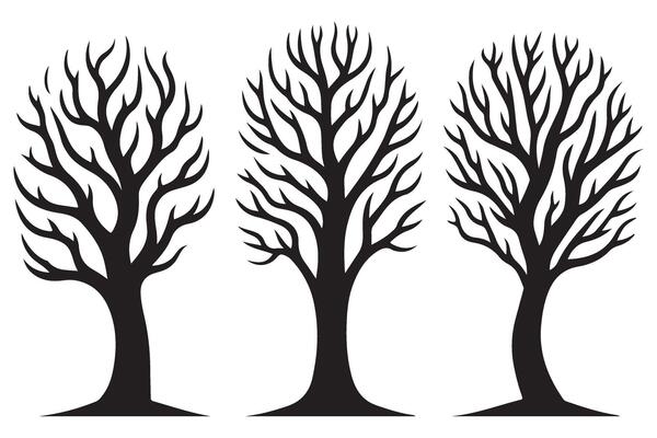 Bare Tree Silhouette Bundle for Autumn Winter Design Projects