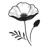 Poppy Flower Illustration Detailed Graphic Art Botanical Design vector
