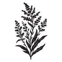 Elegant Silhouette Goldenrod Flower Illustration for Botanical Design Project vector