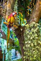 A statue macaw parrot perched on a branch, photo
