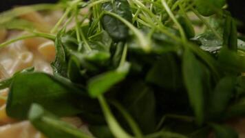 Anonymous cook adding spinach to pasta with cream video