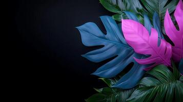 Vibrant tropical leaves in various shades of green and pink against a dark background photo