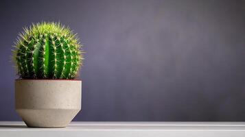 A vibrant green cactus in a modern pot placed on a minimalist shelf against a soft gradient background photo