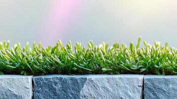 Lush green grass growing vibrantly atop a stone wall under a soft pastel sky photo