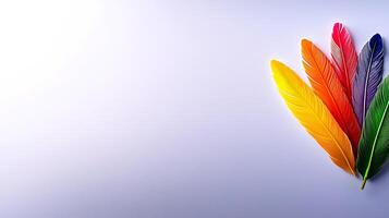 Vibrant colored feathers arranged artistically on a clean white background for creative projects photo
