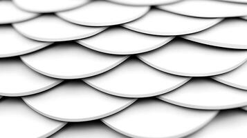 Close-up of overlapping white scales creating a textured pattern resembling a fish or reptile skin photo
