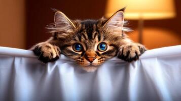 A curious cat peeking over a white curtain in a cozy room with warm lighting photo