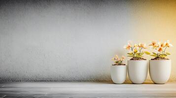 Three elegant flower pots with blooming orchids on a smooth, modern surface against a gradient wall photo