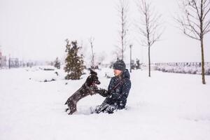 Wondering teenage girl sits with her dog in the snow in winter, throwing snowballs at her. Russian spaniel runs with flapping ears in the snow and plays photo