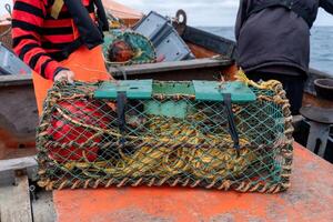 Net container to fish lobsters on a boat photo
