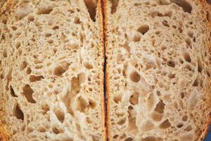 Well-fermented bread crumbs photo