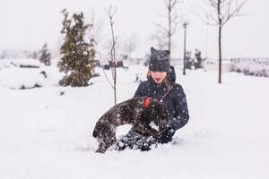 Sitting teenage girl sits with her dog in the snow in winter, throwing snowballs at her. Russian spaniel runs with flapping ears in the snow and plays photo