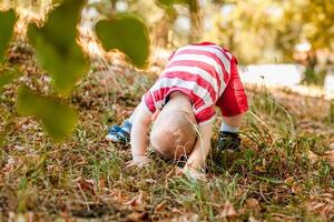 Baby under one year old learning to crawl on autumn leaves in a warm park. photo