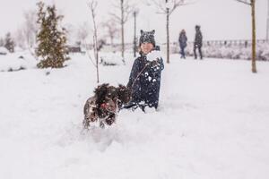 Happy teenage girl sits with her dog in the snow in winter, throwing snowballs at her. Russian spaniel runs with flapping ears in the snow and plays photo