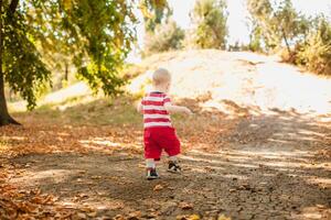 One-year-old little boy exploring the world in warm autumn forest photo