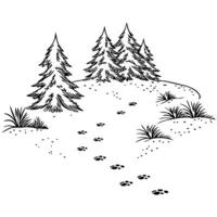 Animal tracks in pine forest illustration, nature path with trees and footprints in wilderness vector
