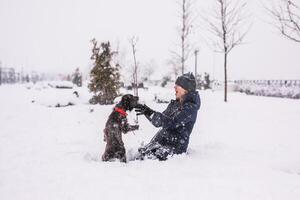 Playful teenage girl sits with her dog in the snow in winter, throwing snowballs at her. Russian spaniel runs with flapping ears in the snow and plays photo