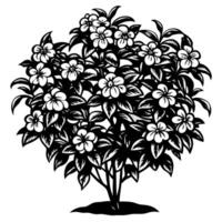 Floral bush illustration with blooming flowers on a white background black and white intricate foliage art vector