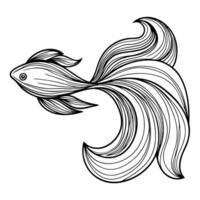 intricate line art of a graceful fish flowing fins and elegant movement, aquatic illustration vector