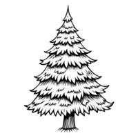 Illustrated christmas tree with detailed branches and needles vector