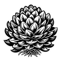 detailed black and white artichoke illustration with intricate leaf patterns and organic texture vector