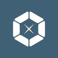 Abstract Hexagonal Logo Template Illustration Design. EPS 10. vector