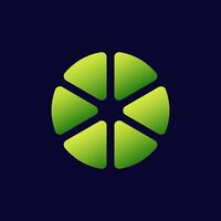 Green lime slice divided into segments in a circular shape vector