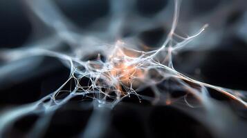 Abstract close-up of intricate web-like structures illuminated against a dark background photo
