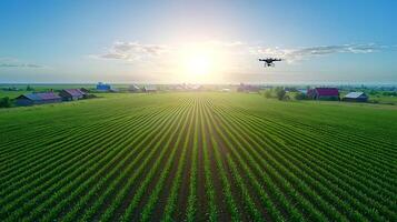 Aerial view of a drone flying over lush green farmland at sunrise with distant houses photo
