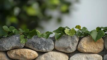 Lush green ivy cascading over a rustic stone wall in a serene outdoor setting photo