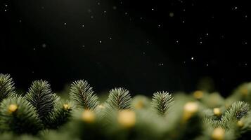 Lush evergreen branches adorned with soft golden lights against a dark, starry background photo
