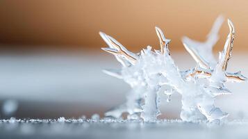 Intricate ice crystal formation on a smooth surface with a soft blurred background photo