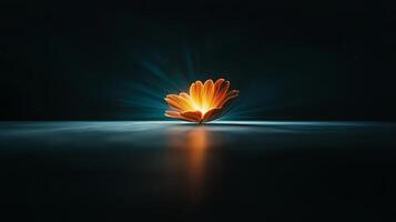 Vibrant orange flower illuminated against a dark background, casting soft reflections on water photo