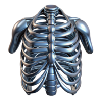 extraordinary traditional Human ribcage augmented with articulated, segmented metal plates, reflecting a harsh, metallic sheen, in a dystopian style original png