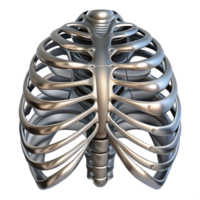 wonderful rustic Human ribcage augmented with articulated, segmented metal plates, reflecting a harsh, metallic sheen, in a dystopian style original png