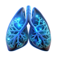 wonderful modern Human lungs interwoven with delicate, glass-like capillaries filled with glowing, fluorescent fluid, illuminated by a soft, diffused light, in a bioluminescent style detailed png