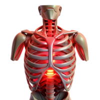 dramatic modern Biomechanical torso with exposed ribcage and artificial organs, illuminated by a pulsating, red light, in a horror style high resolution png